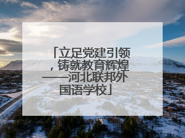 立足党建引领，铸就教育辉煌——河北联邦外国语学校