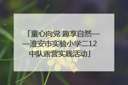 童心向党 趣享自然——淮安市实验小学二12中队露营实践活动