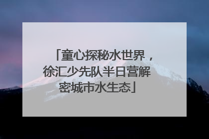 童心探秘水世界，徐汇少先队半日营解密城市水生态