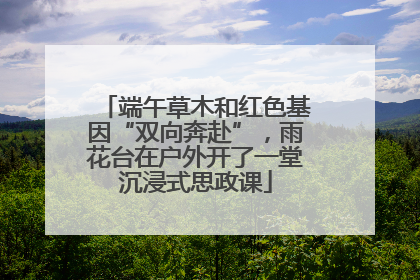 端午草木和红色基因“双向奔赴”，雨花台在户外开了一堂沉浸式思政课