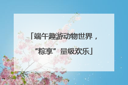 端午趣游动物世界，“粽享”量级欢乐