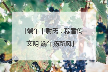 端午｜尉氏：粽香传文明 端午扬新风