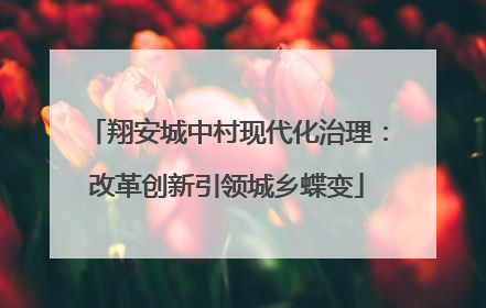 翔安城中村现代化治理：改革创新引领城乡蝶变