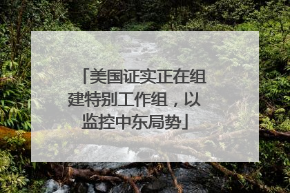 美国证实正在组建特别工作组，以监控中东局势