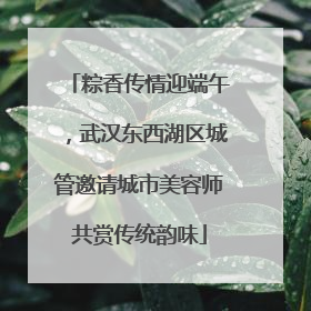 粽香传情迎端午，武汉东西湖区城管邀请城市美容师共赏传统韵味