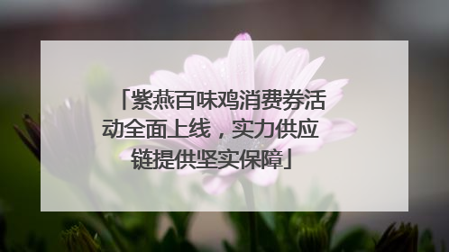 紫燕百味鸡消费券活动全面上线，实力供应链提供坚实保障