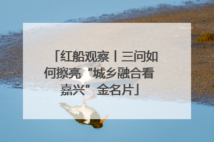 红船观察丨三问如何擦亮“城乡融合看嘉兴”金名片