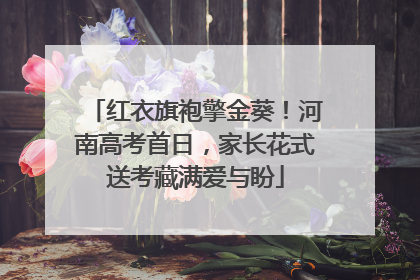 红衣旗袍擎金葵！河南高考首日，家长花式送考藏满爱与盼
