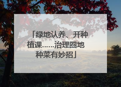 绿地认养、开种植课……治理圈地种菜有妙招