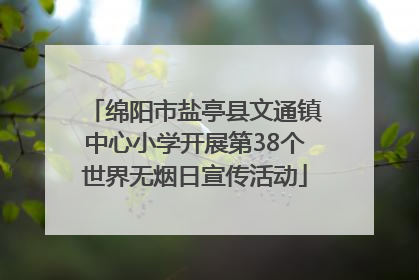 绵阳市盐亭县文通镇中心小学开展第38个世界无烟日宣传活动