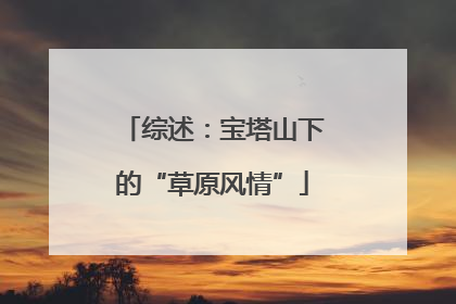 综述：宝塔山下的“草原风情”