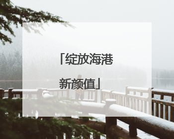 绽放海港新颜值