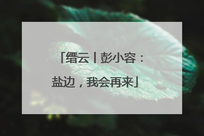 缙云丨彭小容：盐边，我会再来