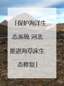 保护海洋生态系统 河北推进海草床生态修复