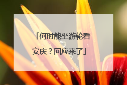 何时能坐游轮看安庆？回应来了