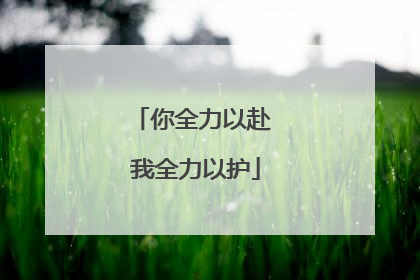 你全力以赴 我全力以护