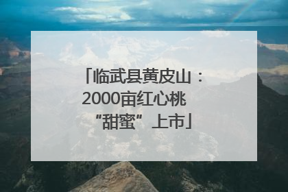 临武县黄皮山：2000亩红心桃“甜蜜”上市