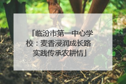 临汾市第一中心学校：麦香浸润成长路 实践传承农耕情