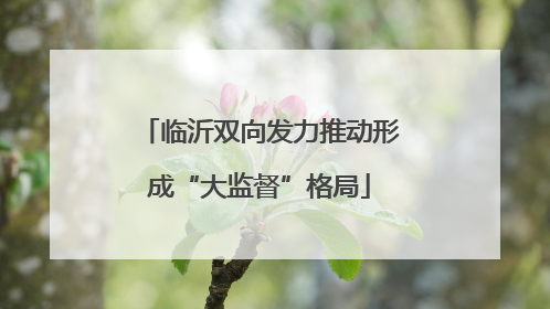 临沂双向发力推动形成“大监督”格局
