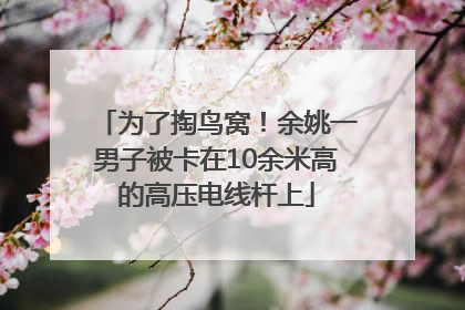 为了掏鸟窝！余姚一男子被卡在10余米高的高压电线杆上