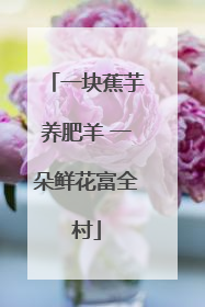 一块蕉芋养肥羊 一朵鲜花富全村