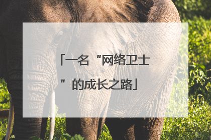 一名“网络卫士”的成长之路