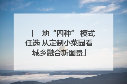 一地“四种” 模式任选 从定制小菜园看城乡融合新图景