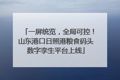 一屏统览，全局可控！山东港口日照港粮食码头数字孪生平台上线