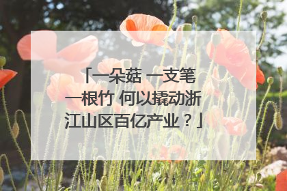 一朵菇 一支笔 一根竹 何以撬动浙江山区百亿产业？