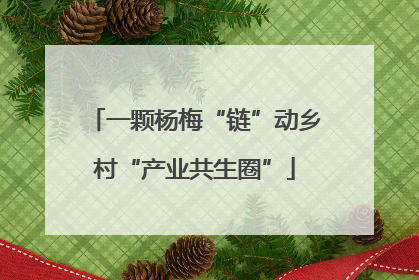 一颗杨梅“链”动乡村“产业共生圈”