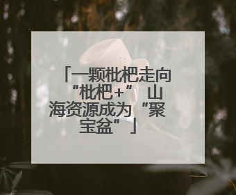 一颗枇杷走向“枇杷+” 山海资源成为“聚宝盆”