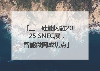 三一硅能闪耀2025 SNEC展，智能微网成焦点