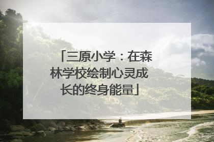三原小学：在森林学校绘制心灵成长的终身能量