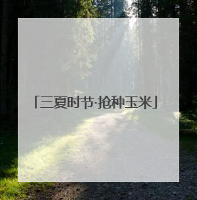 三夏时节·抢种玉米