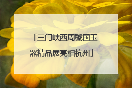 三门峡西周虢国玉器精品展亮相杭州