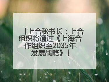 上合秘书长：上合组织将通过《上海合作组织至2035年发展战略》