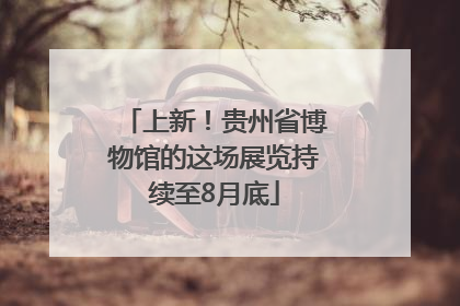 上新！贵州省博物馆的这场展览持续至8月底
