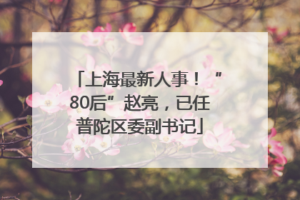 上海最新人事！“80后”赵亮，已任普陀区委副书记