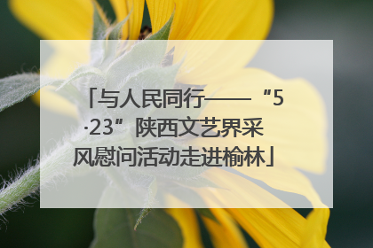 与人民同行——“5·23”陕西文艺界采风慰问活动走进榆林