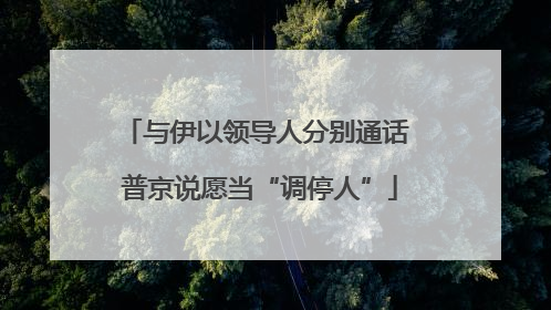 与伊以领导人分别通话 普京说愿当“调停人”