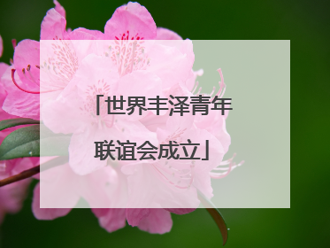 世界丰泽青年联谊会成立