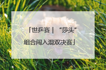 世乒赛｜“莎头”组合闯入混双决赛