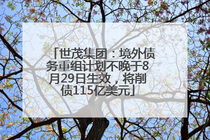世茂集团：境外债务重组计划不晚于8月29日生效，将削债115亿美元