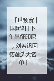 世预赛｜国足2日下午出征印尼，刘若钒因伤落选大名单