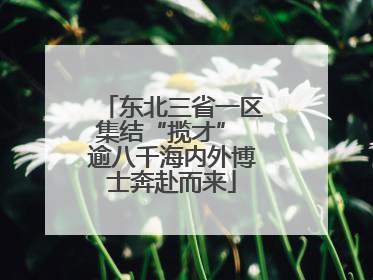 东北三省一区集结“揽才” 逾八千海内外博士奔赴而来