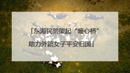东海民警架起“暖心桥”助力外籍女子平安归国