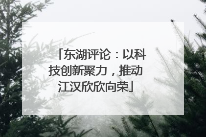 东湖评论：以科技创新聚力，推动江汉欣欣向荣