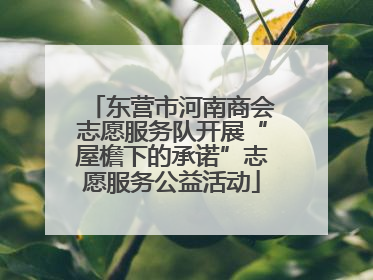 东营市河南商会志愿服务队开展“屋檐下的承诺”志愿服务公益活动