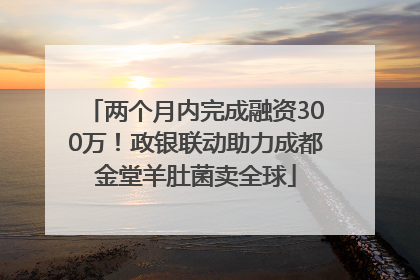 两个月内完成融资300万！政银联动助力成都金堂羊肚菌卖全球