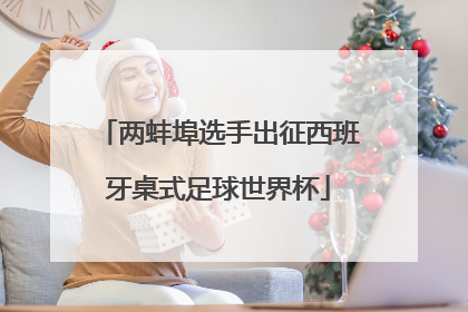 两蚌埠选手出征西班牙桌式足球世界杯